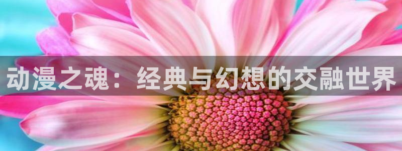 acg动漫大全：动漫之魂：经典与幻想的交融世界