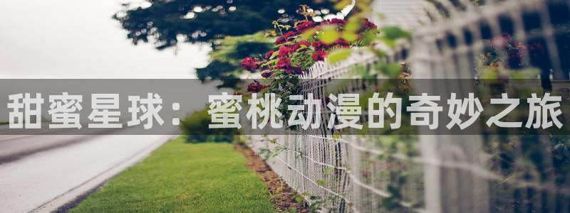 acg动漫：甜蜜星球：蜜桃动漫的奇妙之旅